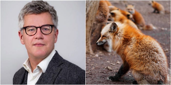 Jo Maugham fox killer