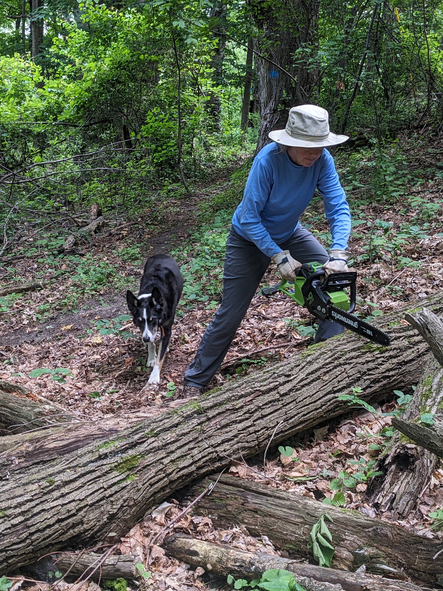 Writer chainsawing a log