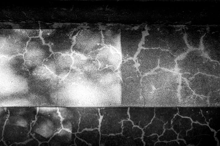 dinosaur skeleton, pendulum, abstract lines on sidewalks