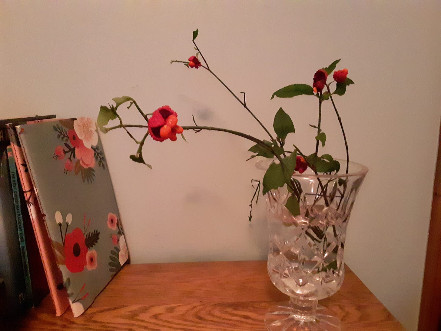 Sprigs of strawberry bush, also known as hearts-a-bustin', in a vase next to a collection of books. The long stems of the plant have brilliant red pods that have burst open to reveal red seeds that still cling to the pod.