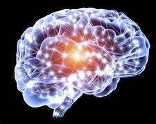 Image result for longevity reverse aging regenerate brain cells replace organs