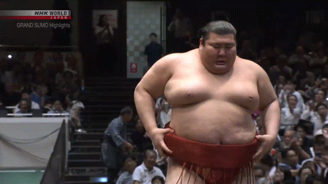 Sumo Stomp! | Tim Edwards | Substack