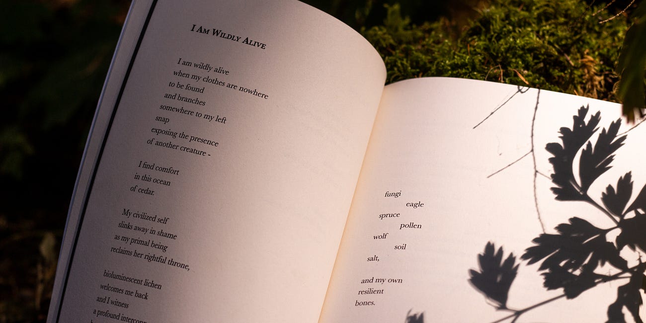 how to self-publish a poetry book: part 2