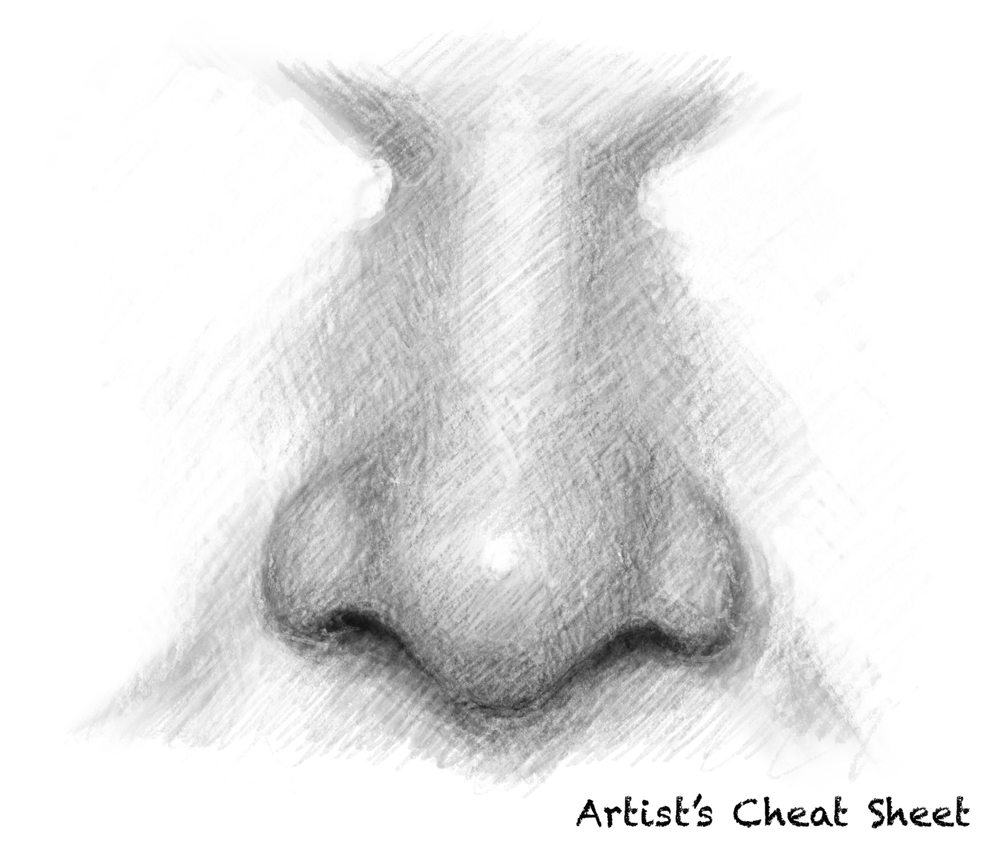 Portrait Series: Noses - by Zoungy Kligge