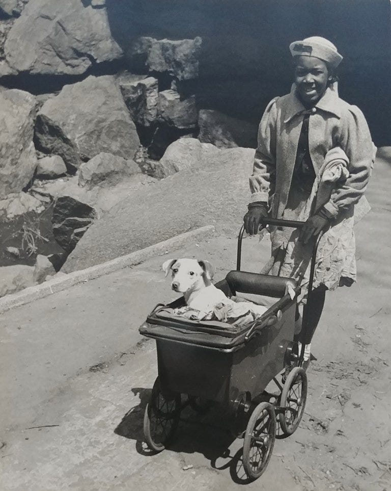 Harlem (Girl with Dog in Baby Carriage), 1934