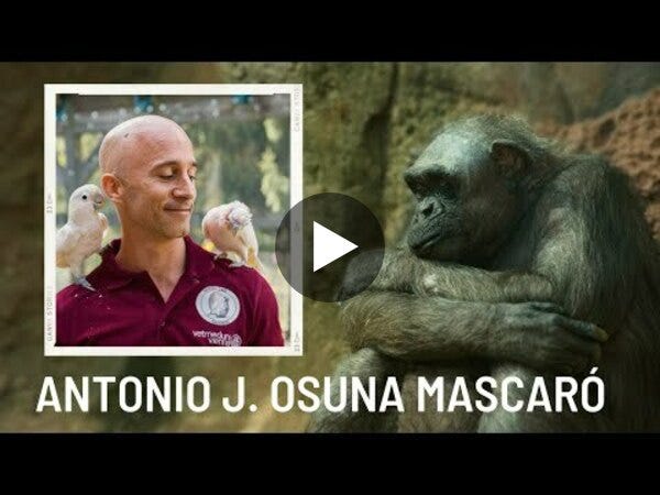 Antonio J. Osuna Mascaró y el pensamiento animal