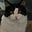 Lutefisk Limeade's avatar