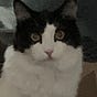 Lutefisk Limeade's avatar