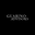 Guarino Advisors's avatar
