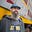 Bear Savo's avatar