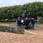 Sunny day for RDA Regional Qualifier
