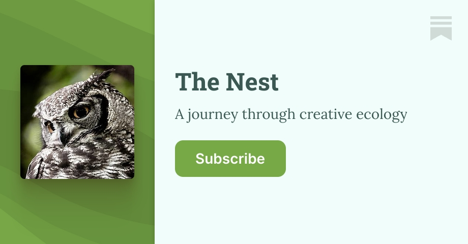 The Nest | Peter Shepherd | Substack