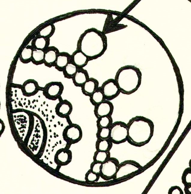 benign covers for biological weapons