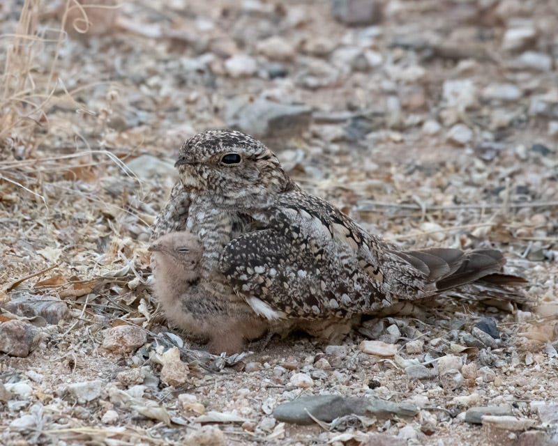 20200621_LN-60-Edit.jpg 20200621_LN-60-Edit.jpg