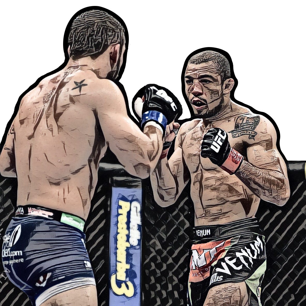 Mixing The Martial Arts