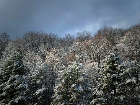 winter scenes in nature and a figure against a white background