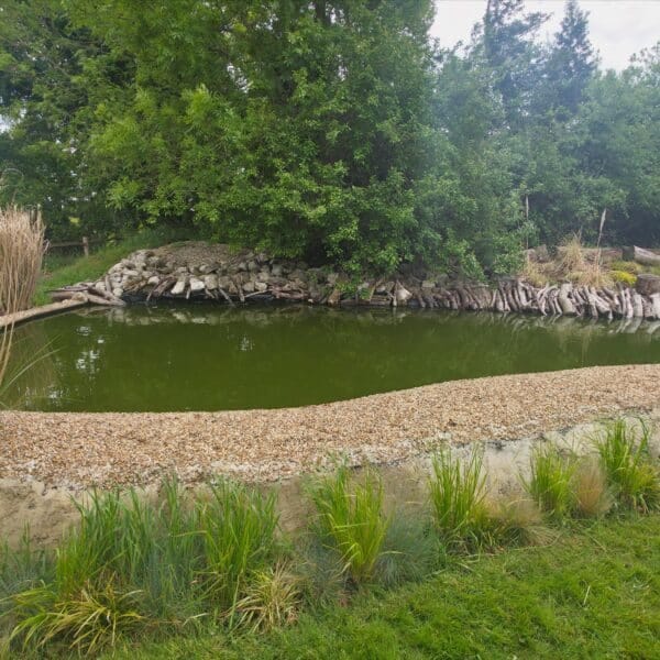 Pond in Sevenoaks before the planting scheme, with a largely open water surface