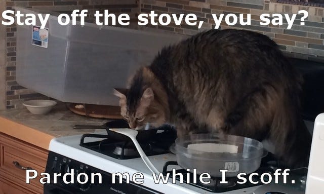 Chase_Stove_lol Chase_Stove_lol