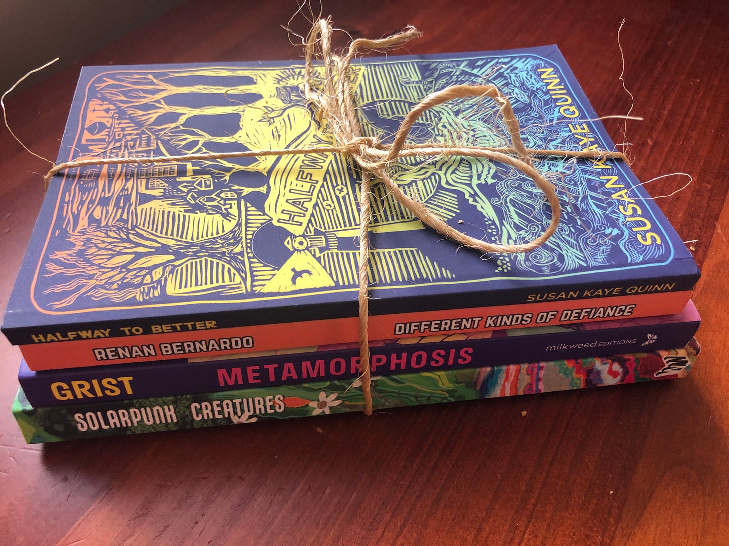 Solarpunk Starter Pack bundled together with twine