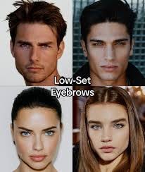 High Eyebrows Vs Low Brows Intelligence | TikTok
