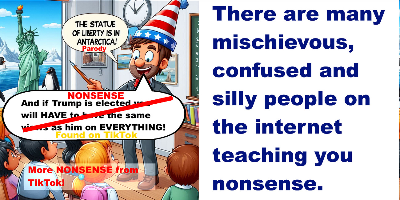 It is TOTALLY SAFE to have VIEWS DIFFERENT FROM TRUMP if he is elected - US Constitution PROTECTS your FREEDOM OF SPEECH - perhaps TikTokers make such bizarre claims out of delusions of grandeur?