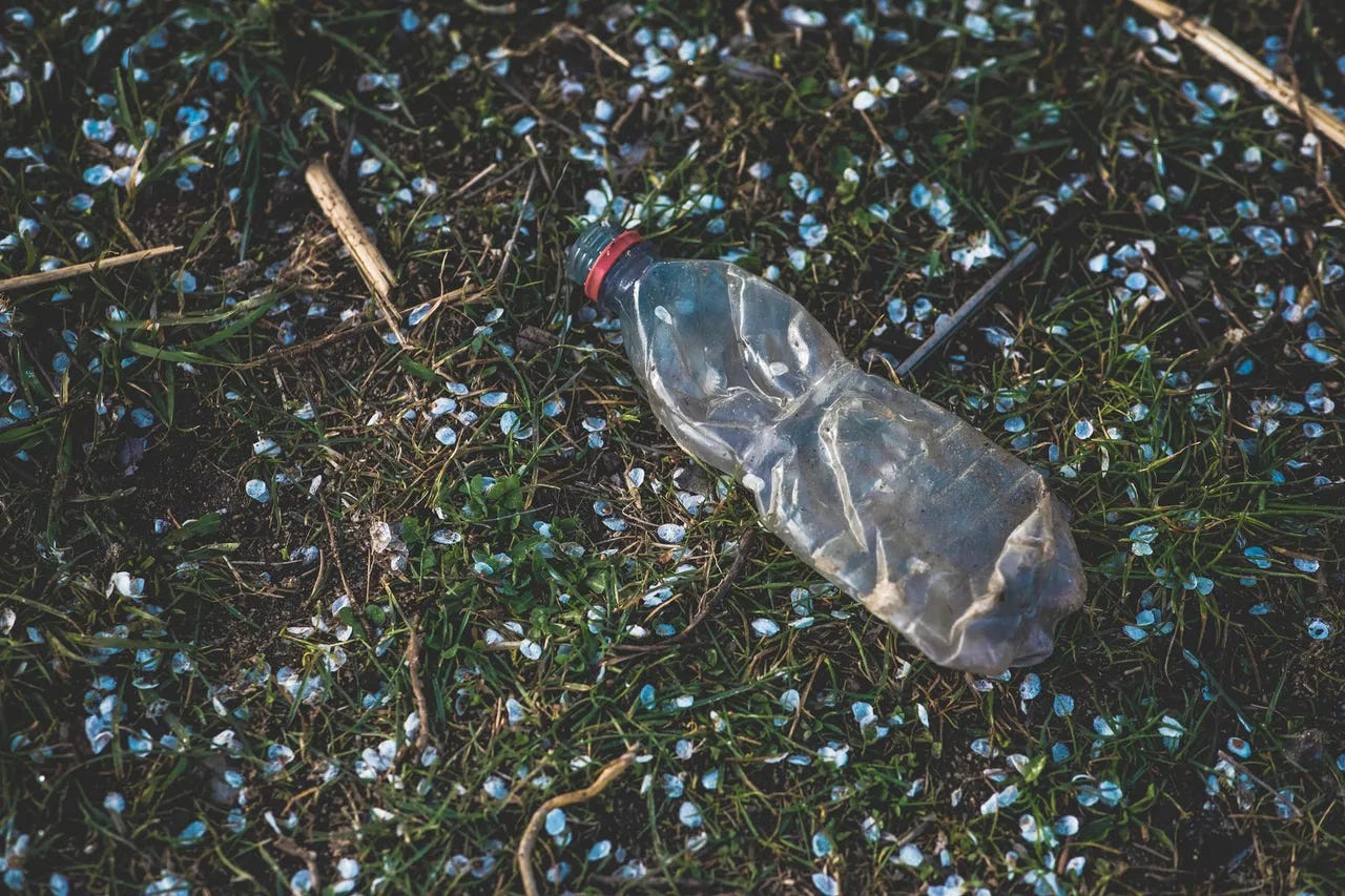Plastic bottle on a green grass - What is
holiness? Plastic bottle on a green grass - What is
holiness?