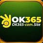 OK365's avatar