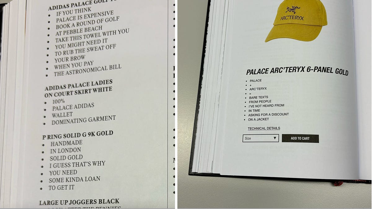 The Palace Product Descriptions Edition - by Louis Cheslaw