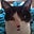 Octavio Bannach's avatar