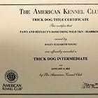 How my rescue dog earned her novice and intermediate trick titles