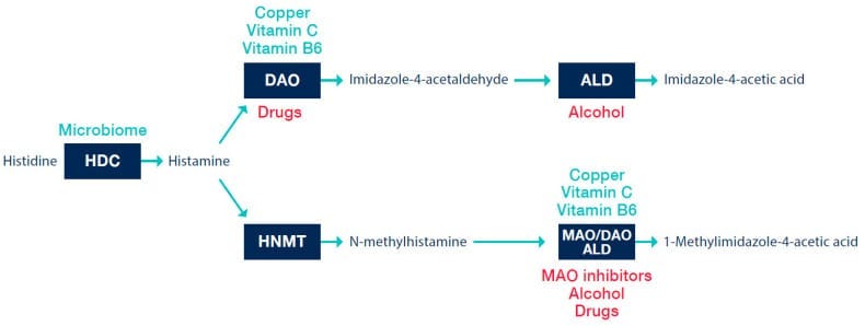 Can Histamine Intolerance Cause Sleep Problems? https%3A%2F%2Fsubstack post media.s3.amazonaws.com%2Fpublic%2Fimages%2F1e00e06c 3268 45eb 9e91