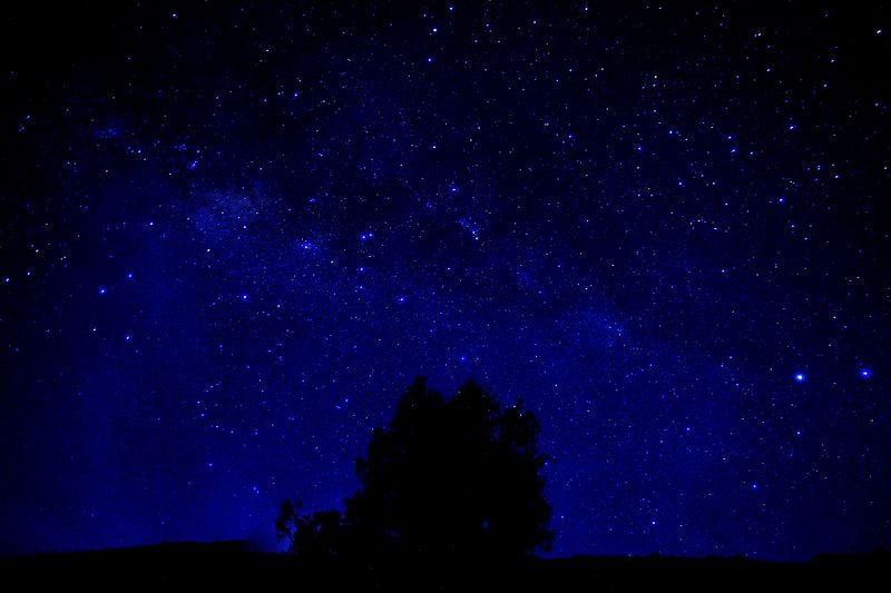 A tree and stars in the night sky

Description automatically generated