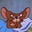 Ger's avatar
