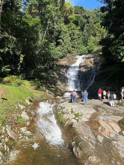 Cameron Highlands Day Tour with Lunch