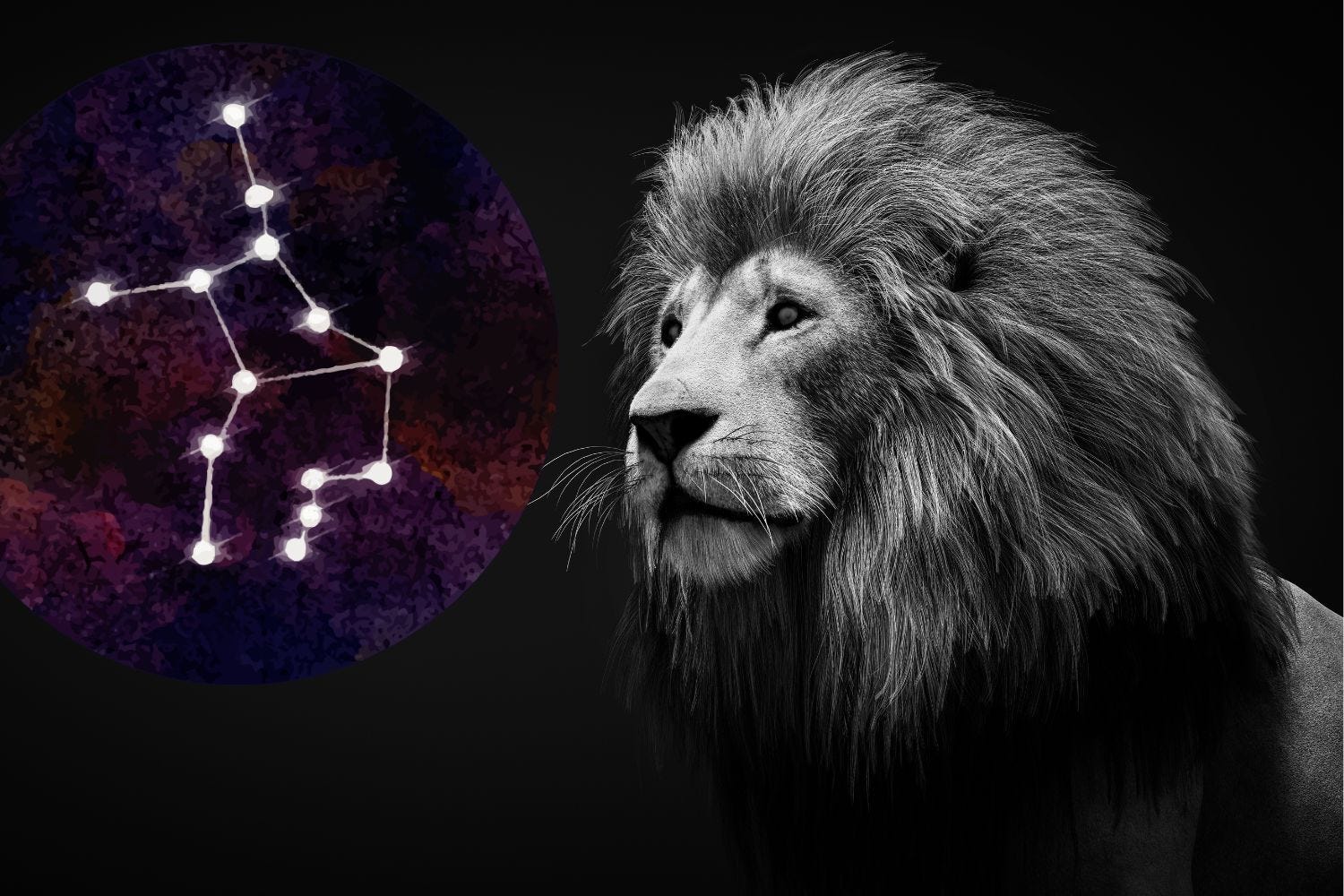 Leo the lion and Virgo star constellation Leo the lion and Virgo star constellation