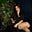 Catherine Wang's avatar