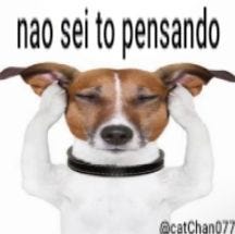 Imagem do Pin de história
