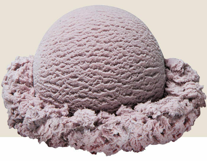 Black Raspberry Black Raspberry
