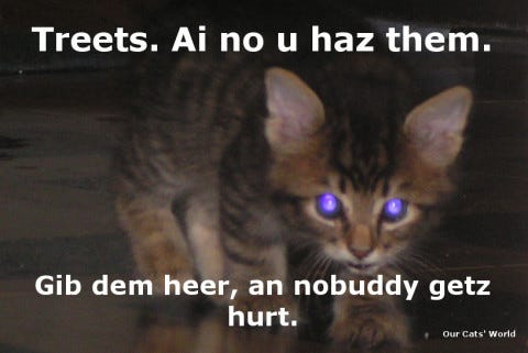 Chase_Kitten_Treats Chase_Kitten_Treats