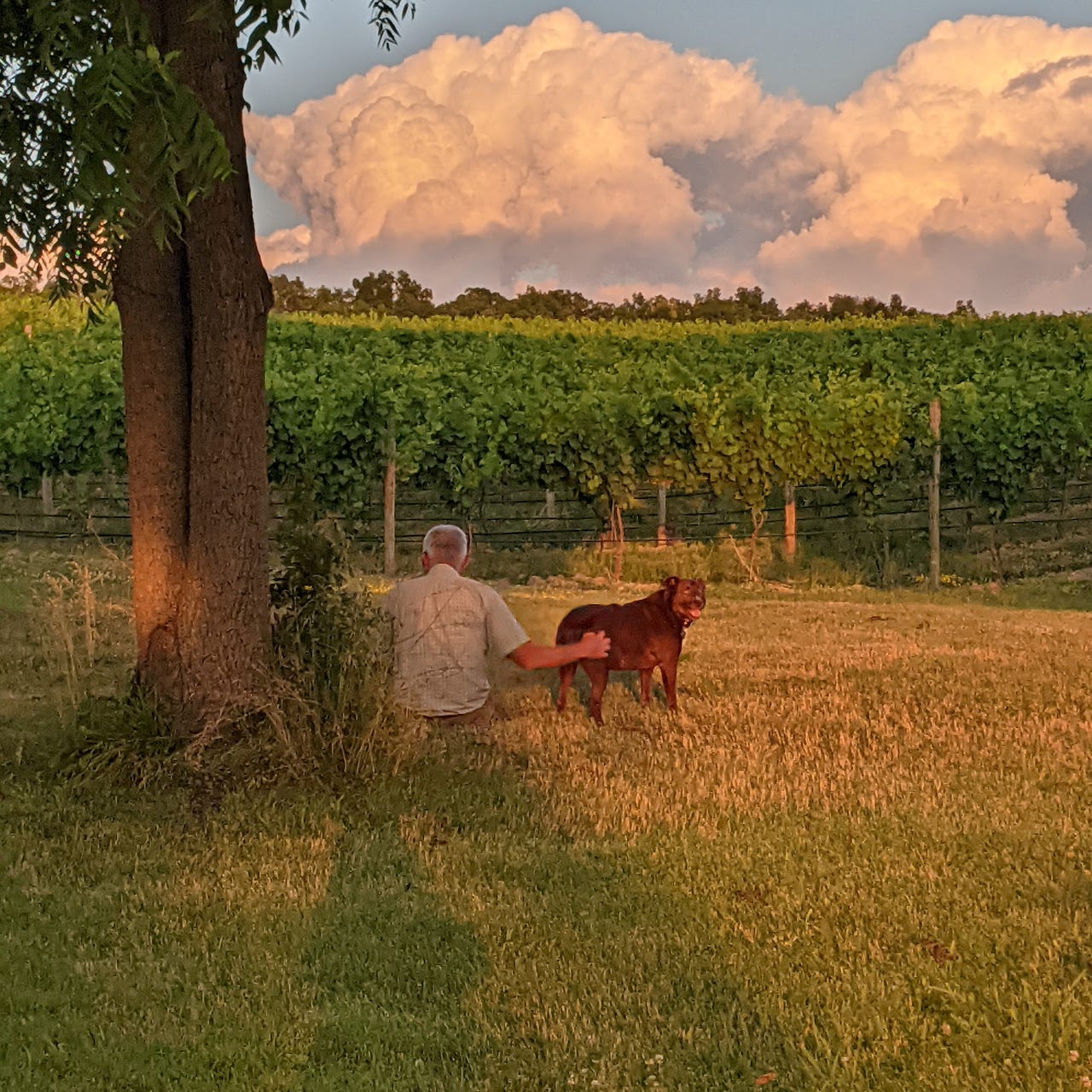 Being a Boundary Breaker