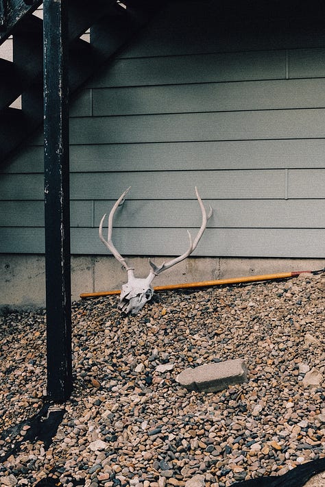 Tyler Knott Gregson Fuji photographs of life in Montana