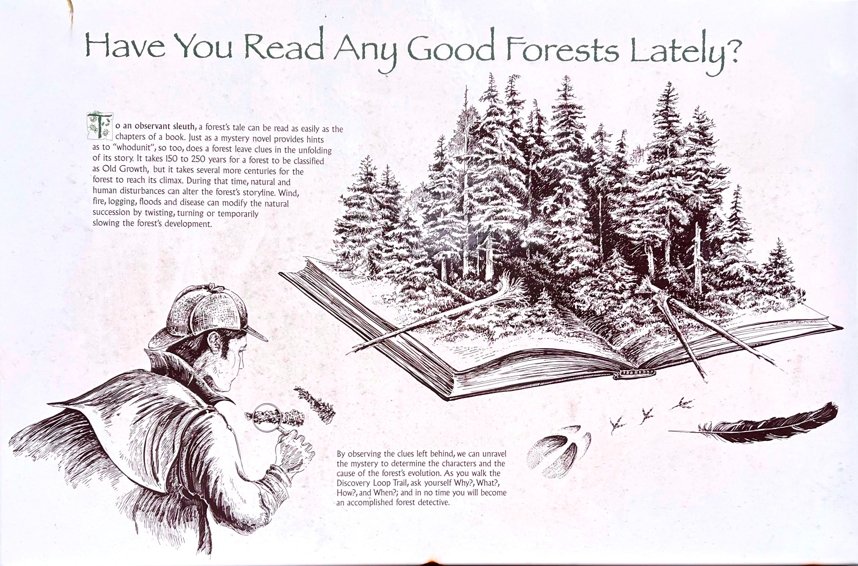 The Language of Landscapes - by Kirk Gordon