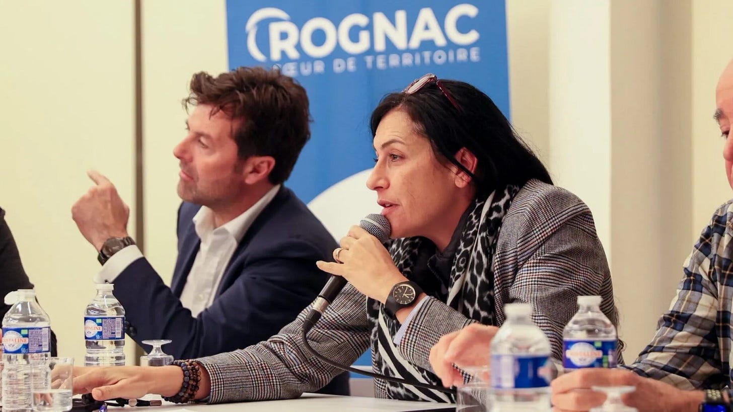 Sylvie Miceli-Houdais (UDI) et Stéphane Le Rudulier (LR), le 1er décembre 2023, lors d