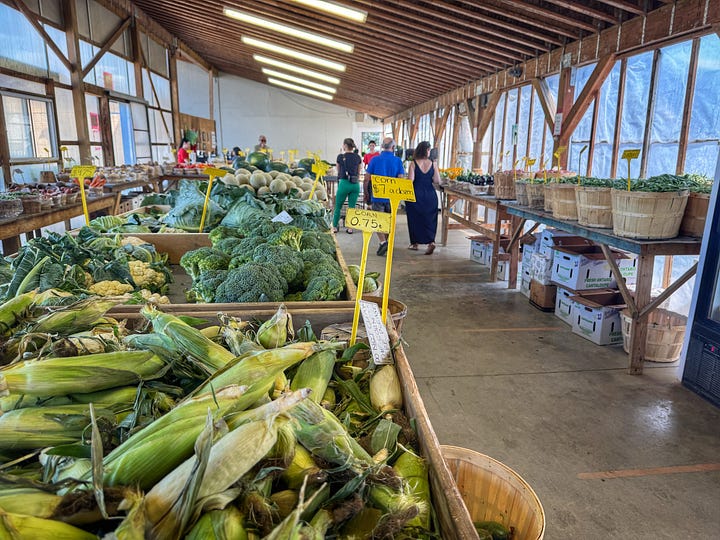 A gallery of shots from Sandy's Farm & Garden Centre. First a shot of the exterior, with cars parked in a dirt lot in front of a building with a huge banner with the name of the place in big red letters. The banner stretches all the way across the front of the building. Next is a shot with bins of corn and broccoli in the foreground. The room continues for about 100 m with many other kinds of vegetables. Next a shot of a variety of vegetables in bins against a wall We can see several types or chard, celery, radishes and more. Finally, a shot looking the other way for the length of the building. In the foreground there is a huge bin of pickling cucumbers.