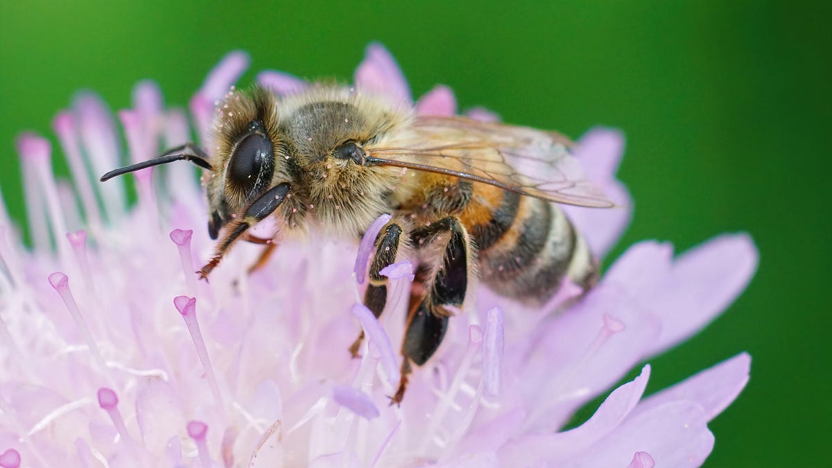 thewinepress.substack.com