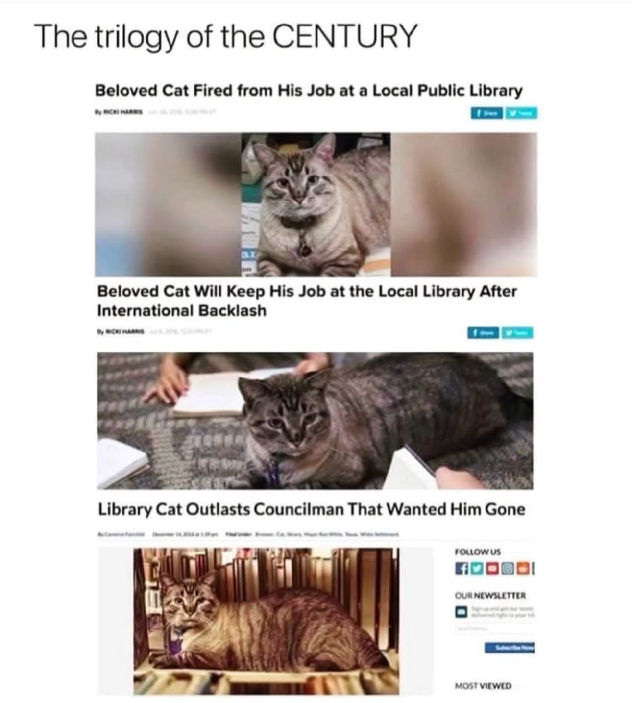 The trilogy of the CENTURY: Beloved Cat Fired from His Job at a Local Public Library … Beloved Cat Will Keep His Job at the Local Library After International Backlash … Library Cat Outlasts Councilman That Wanted Him Gone