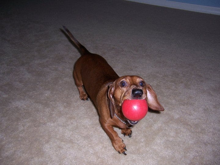 No photo description available.