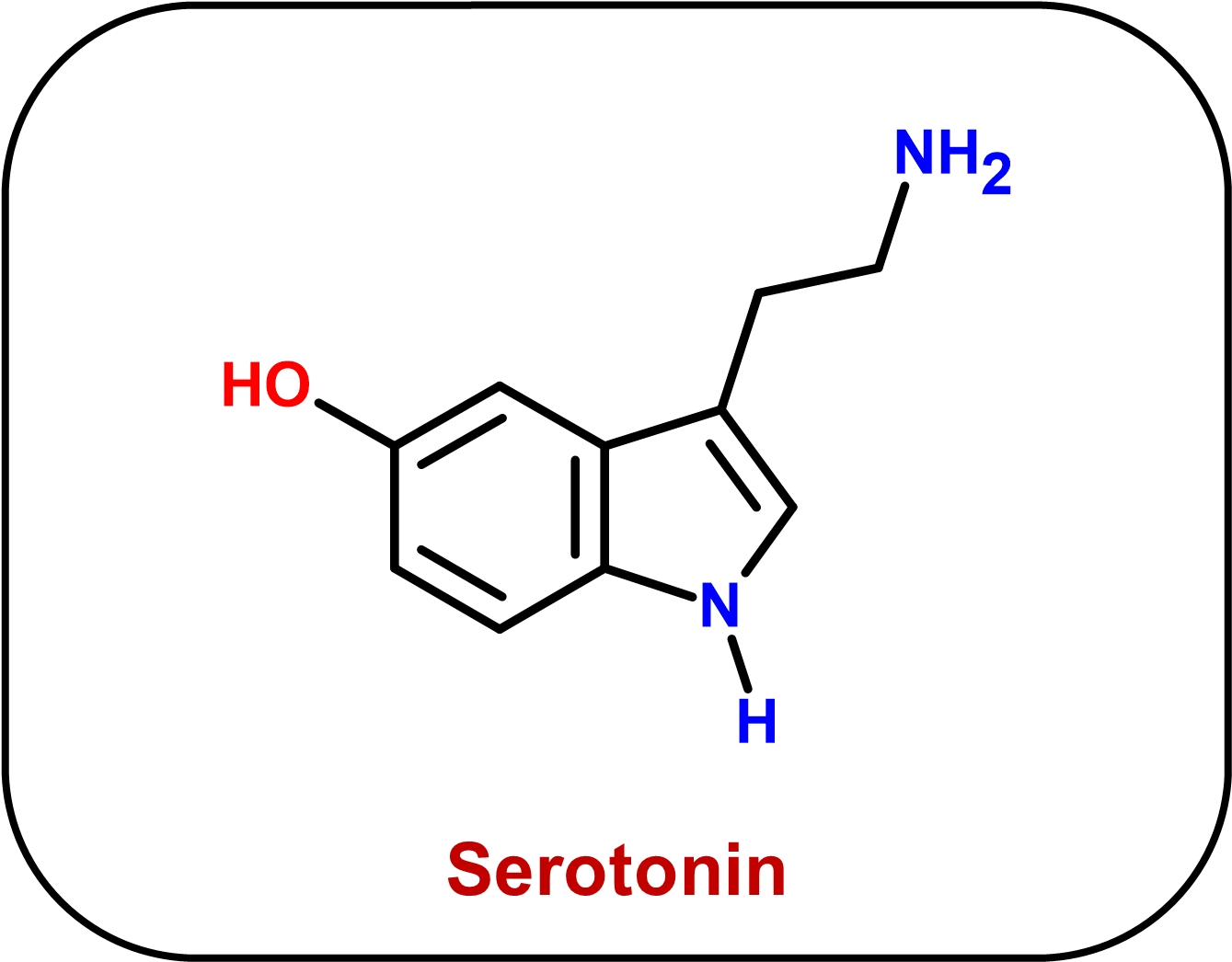 The chemical structure of the neurotransmitter serotonin. 