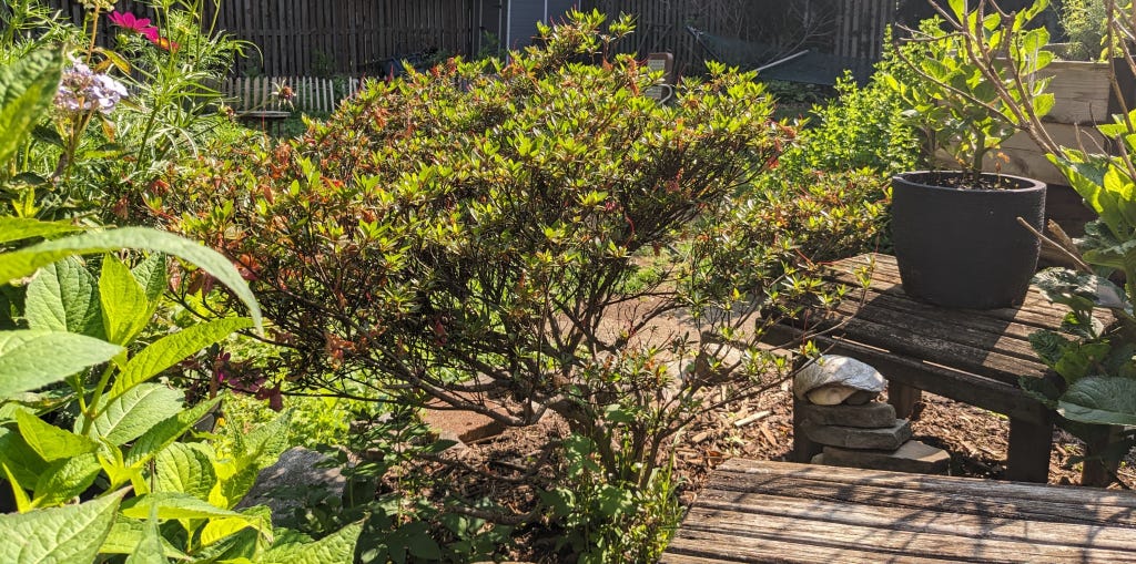 Outside meditation space, June 2023
