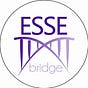 EsseBridge's avatar